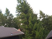 Foto 10.06.16, 16 57 18